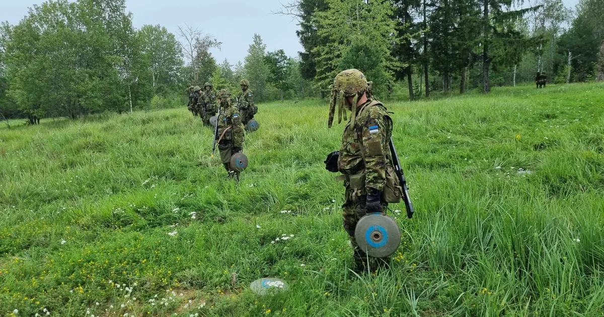 AGO RAUDSEPP ⟩ Kaitseliit ei ole koht, kus käiakse laigulises vormis poosetamas