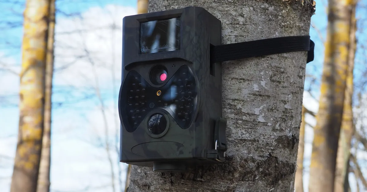 Rajakaamera ette jäänud müstiline loom tekitas vaatajates hämmingut