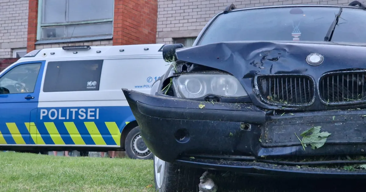 PILDID ⟩ Päikeseloojangut vaatama minna tahtnud purjus naised sõitsid vastu puud