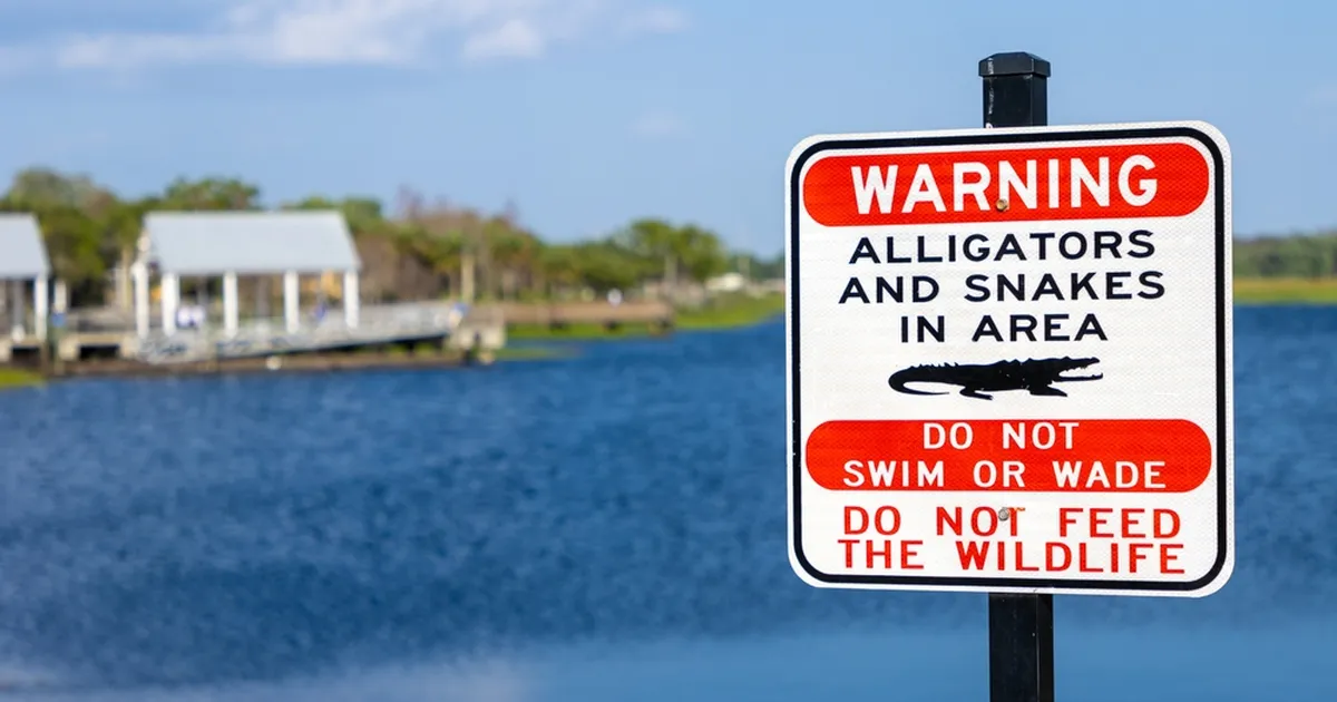 VAATA ⟩ Ootamatule motellikülalisele kutsuti politsei