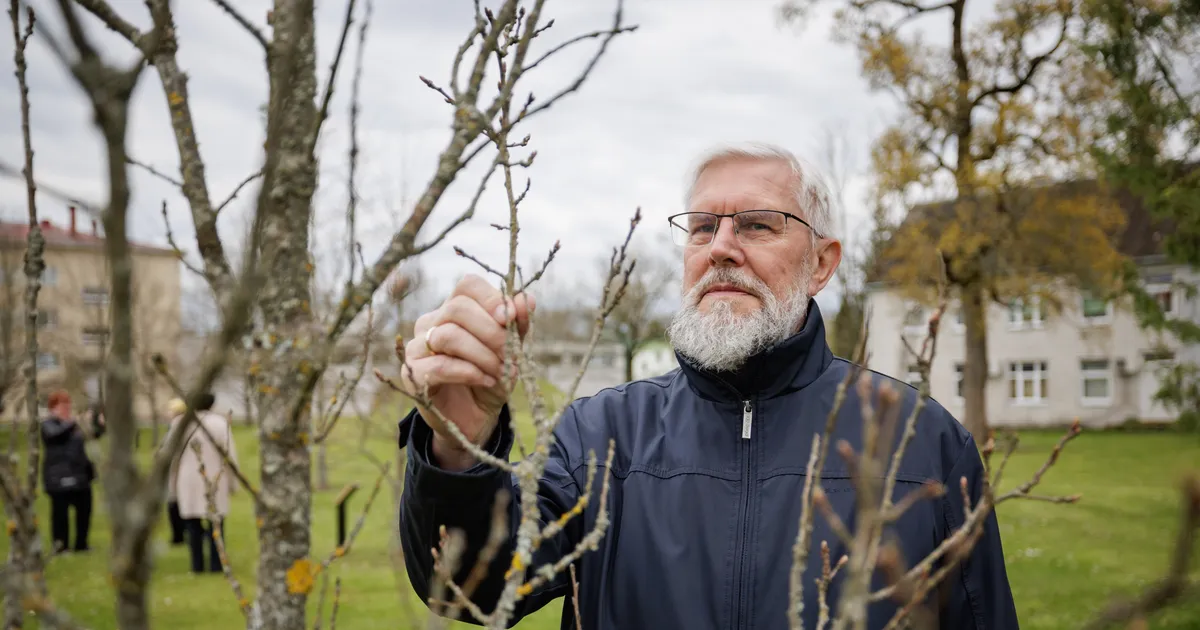 Käes on aeg kosutada kohalikke murdekeeli!