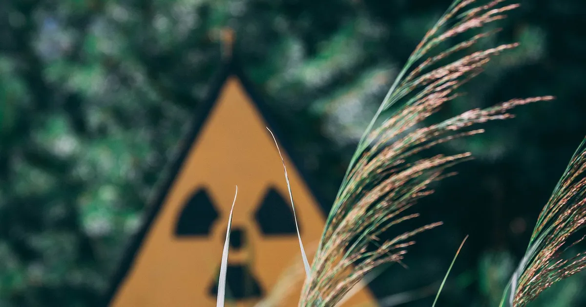 TEADLASED ⟩ Tehisaru loodud jama rikub kogu Interneti ja tehisintellekti enda