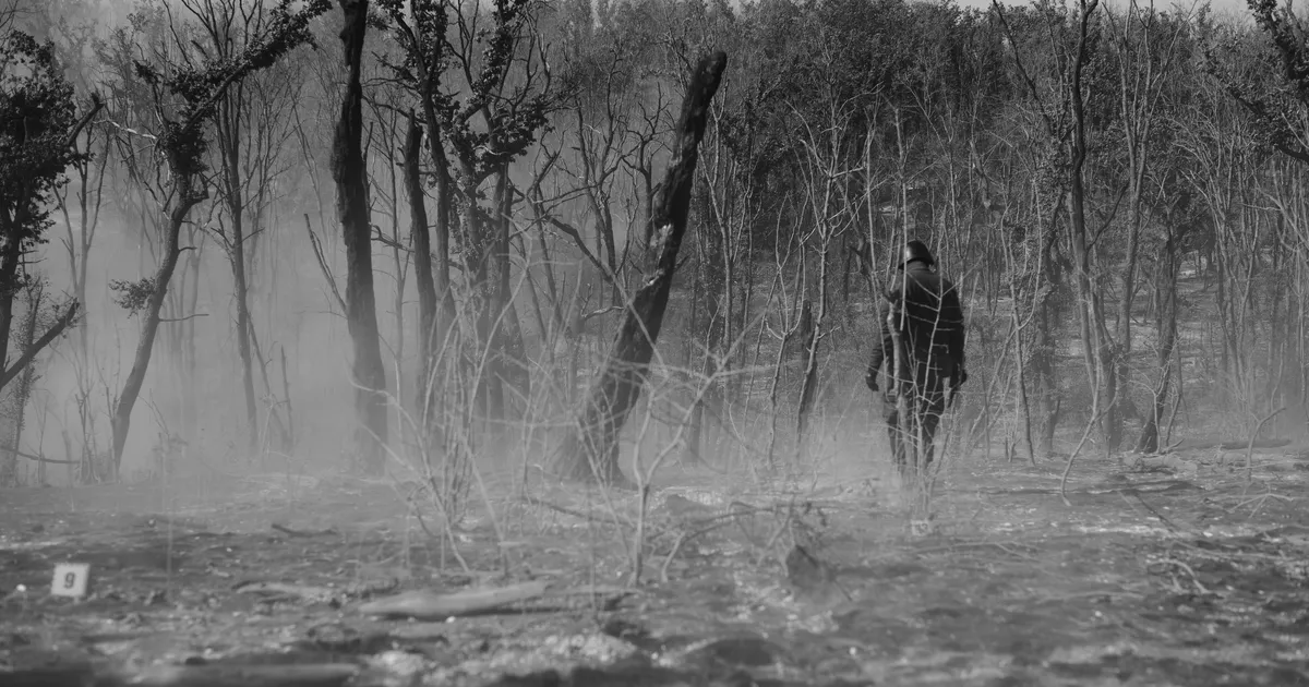 Surnud Ukraina sõdurite koju toomiseks otsitakse venelaste laipu