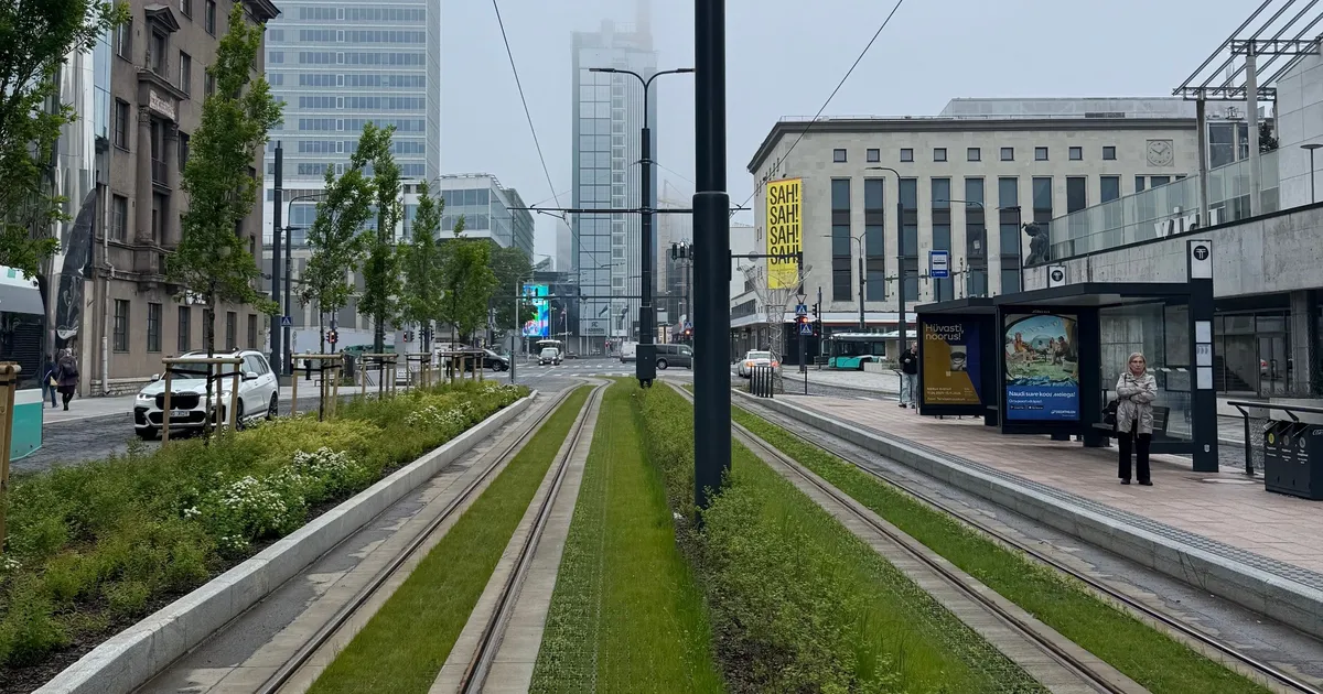 TRIIN KATARIINA TAMMERT ⟩ Kas paneme koera linnaruuminõunikuks?