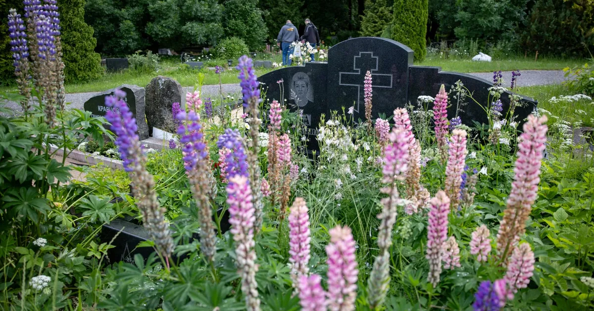 Triipe kalmuliival jääb aina vähemaks: kalmistukultuur võib sootuks hääbuda