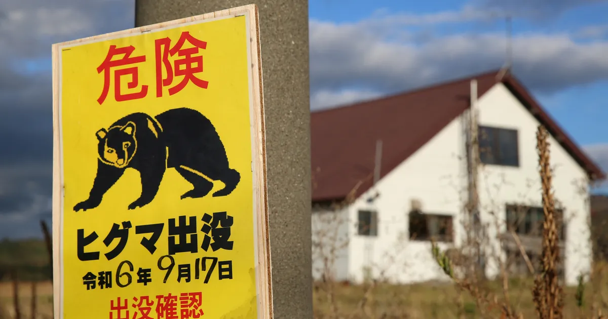 VIDEO ⟩ Maandumisrajal uidanud karu seiskas Jaapani lennujaamas liikluse