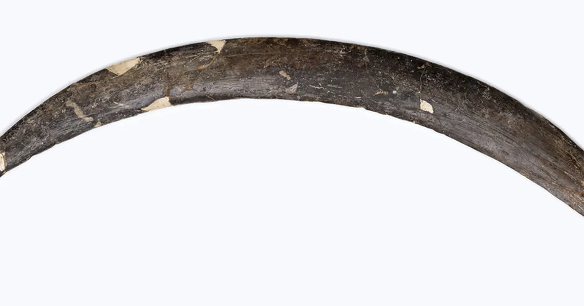 Poolast leiti iidne bumerang – see oli tehtud millestki tavatust