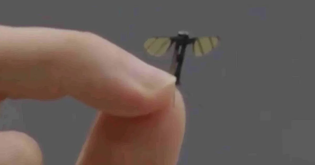 Nagu filmis: Hiina sõjaväel ongi juba putukasuurused droonid salaluure jaoks