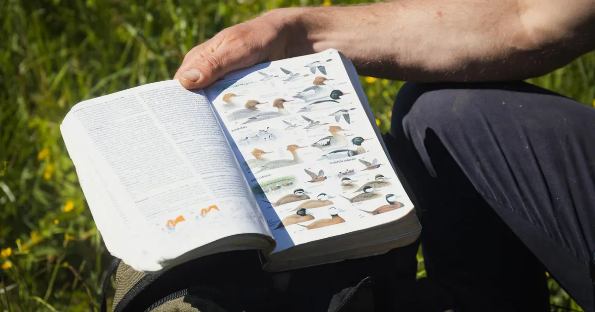 Loodusvaatlusmaratonil paistis silma Lääneranna hobiornitoloog