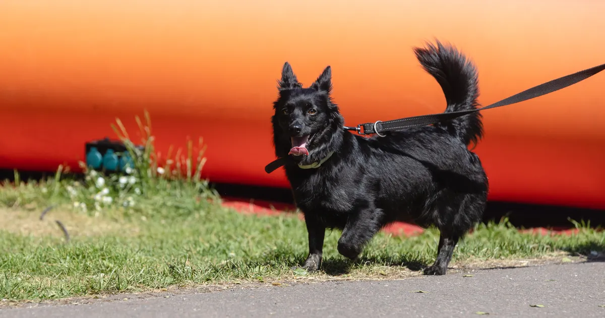 Teisipäeval tuleb kuni 22 kraadi sooja ja olulist sadu oodata ei ole