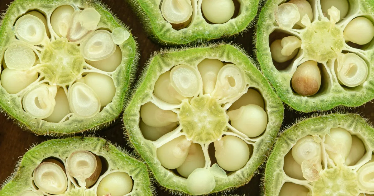 See taimne ekstrakt suudab veest imeda sajandi suurima mürgi