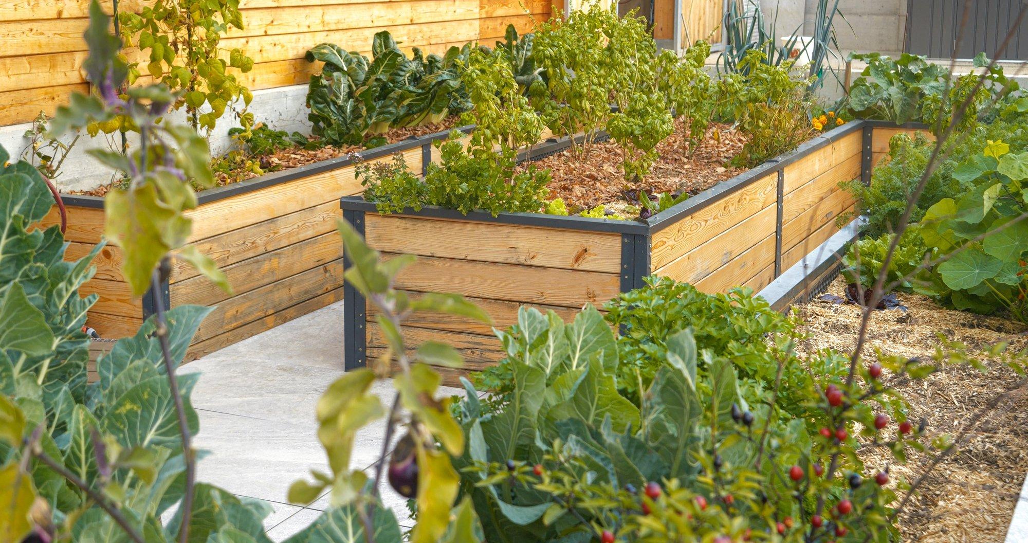 Mis on permakultuur ja miks seda oma koduaias viljeleda