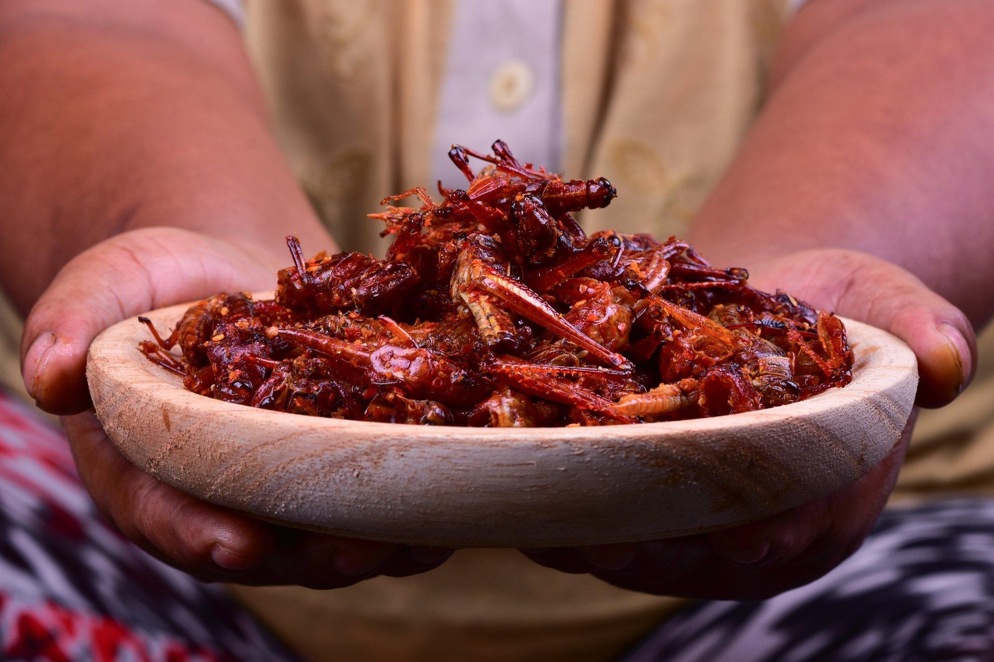 Uuring: liha asemel putukate söömine loomade ja maailma päästmiseks ei ole olnud edukas