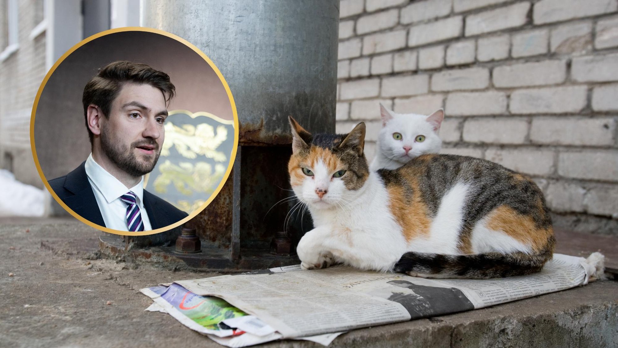 Lemmi Kann: minister Terras diskrimineerib kasse