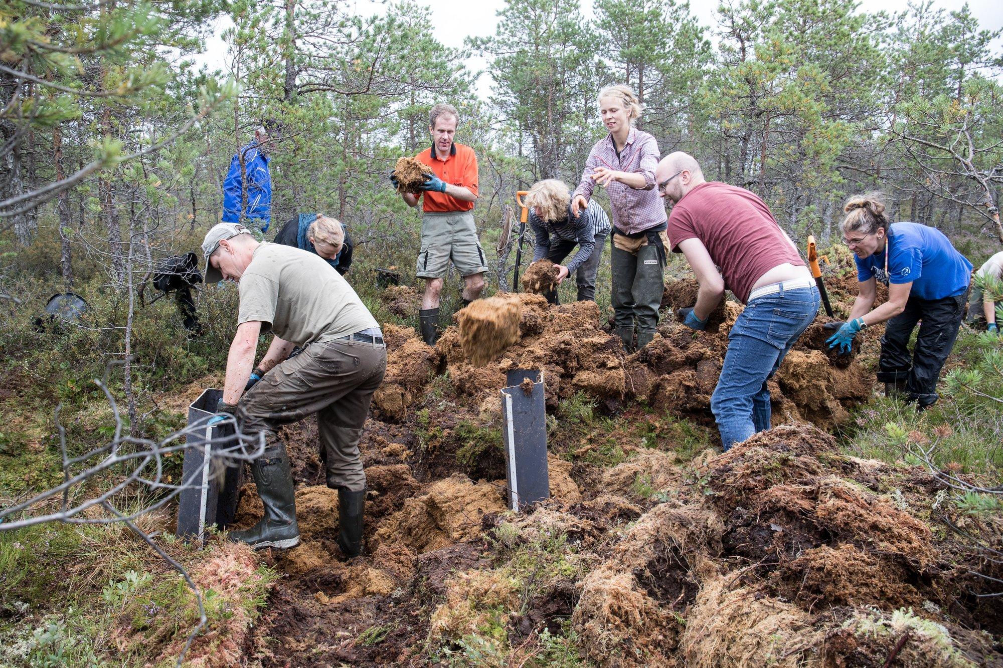 Tarmo Tüür: soode taastamine on igati põhjendatud. See aitab ka võitluses kliimamuutustega