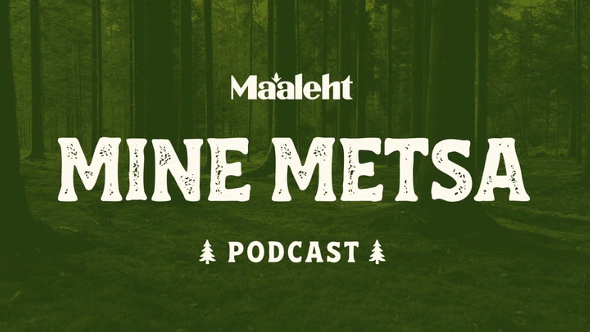 VAATA JA KUULA | Metsandustoetused soodustavad edaspidi liigirikast metsa