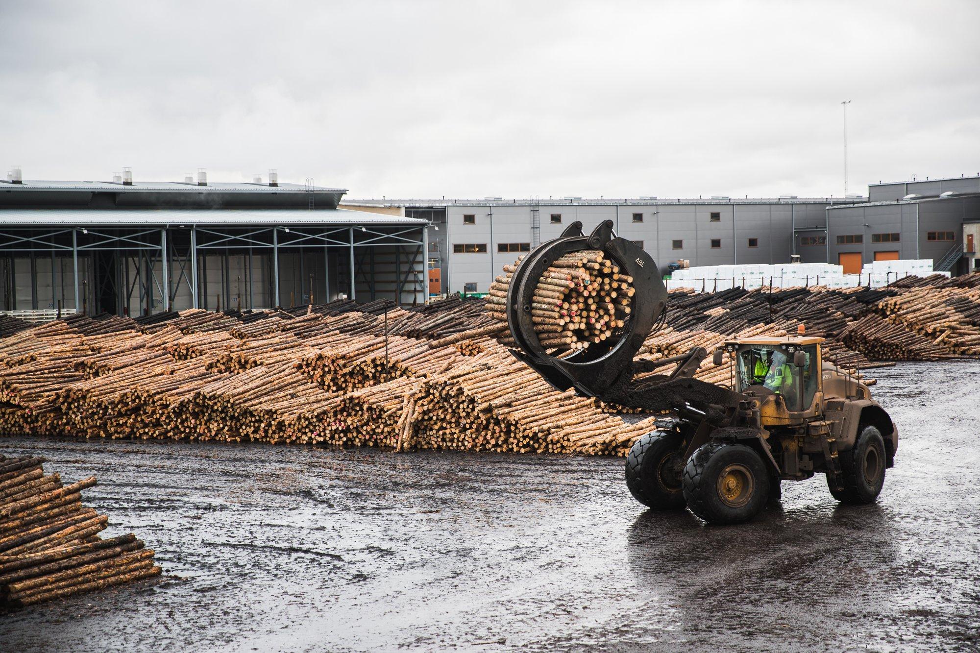Rootsi miljonär müüb järjest elutööd Eestis. Suure metsatüki ostsid tuntud kodumaised ettevõtjad