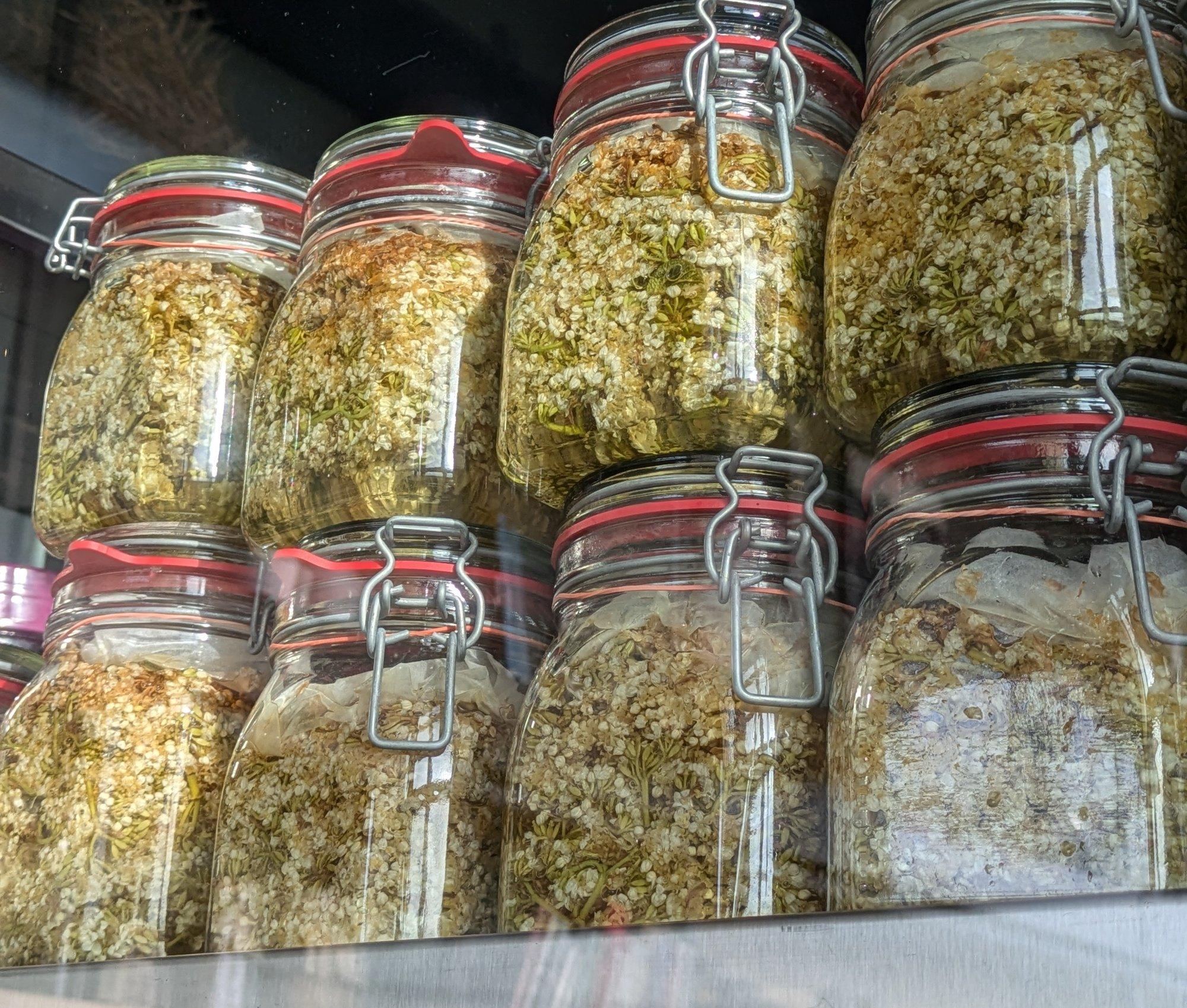 HEA TEADA | Söömiseks kõlbavad nii sõnajalg kui ka hundinui