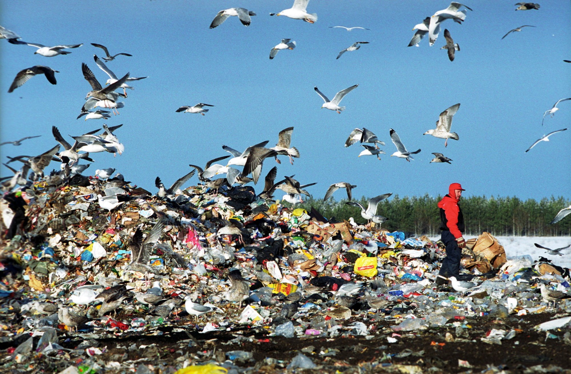 Kai Rimmel: Jõelähtme haiseb ja see on Tallinna süü! Me ei pea seda haisu taluma