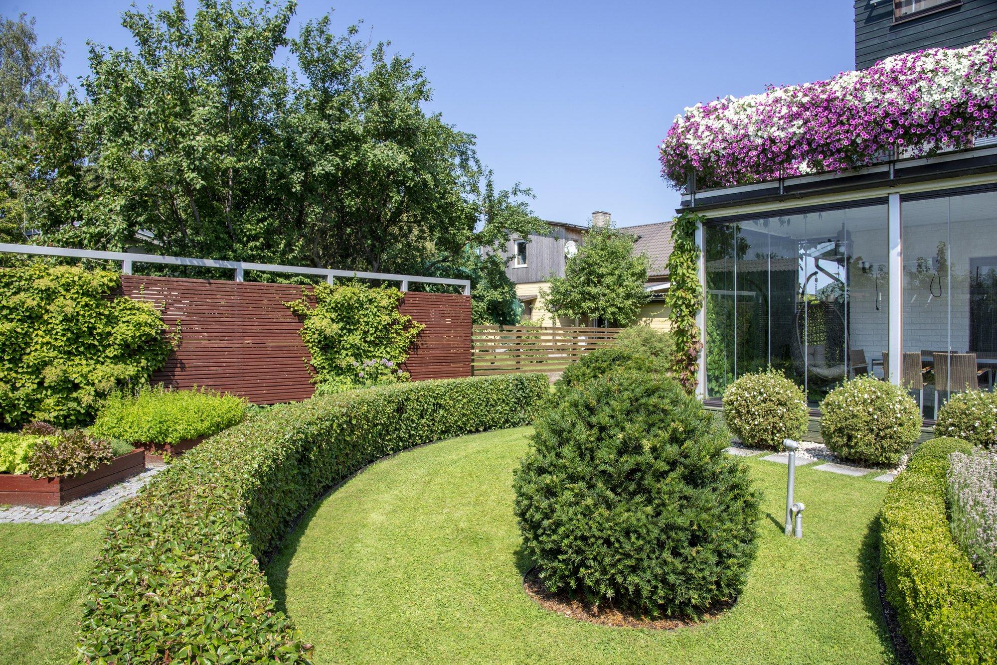 Haapsalu ümarate vormidega aias ei ole palju värve, kuid silmailu jagub kevadest sügiseni