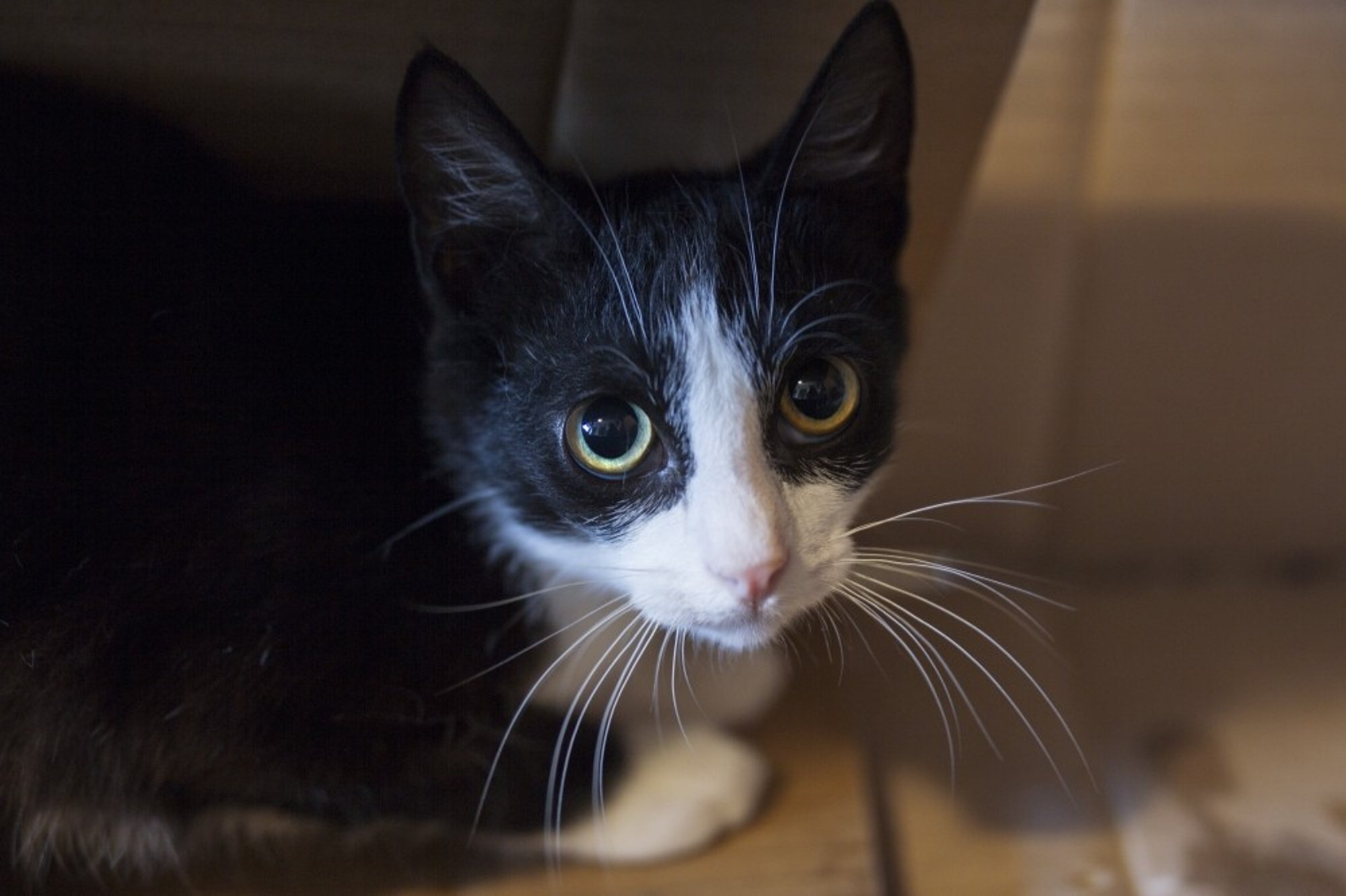 Heade hinnetega ilus poiss sooviks valule kaugelt lehvitada