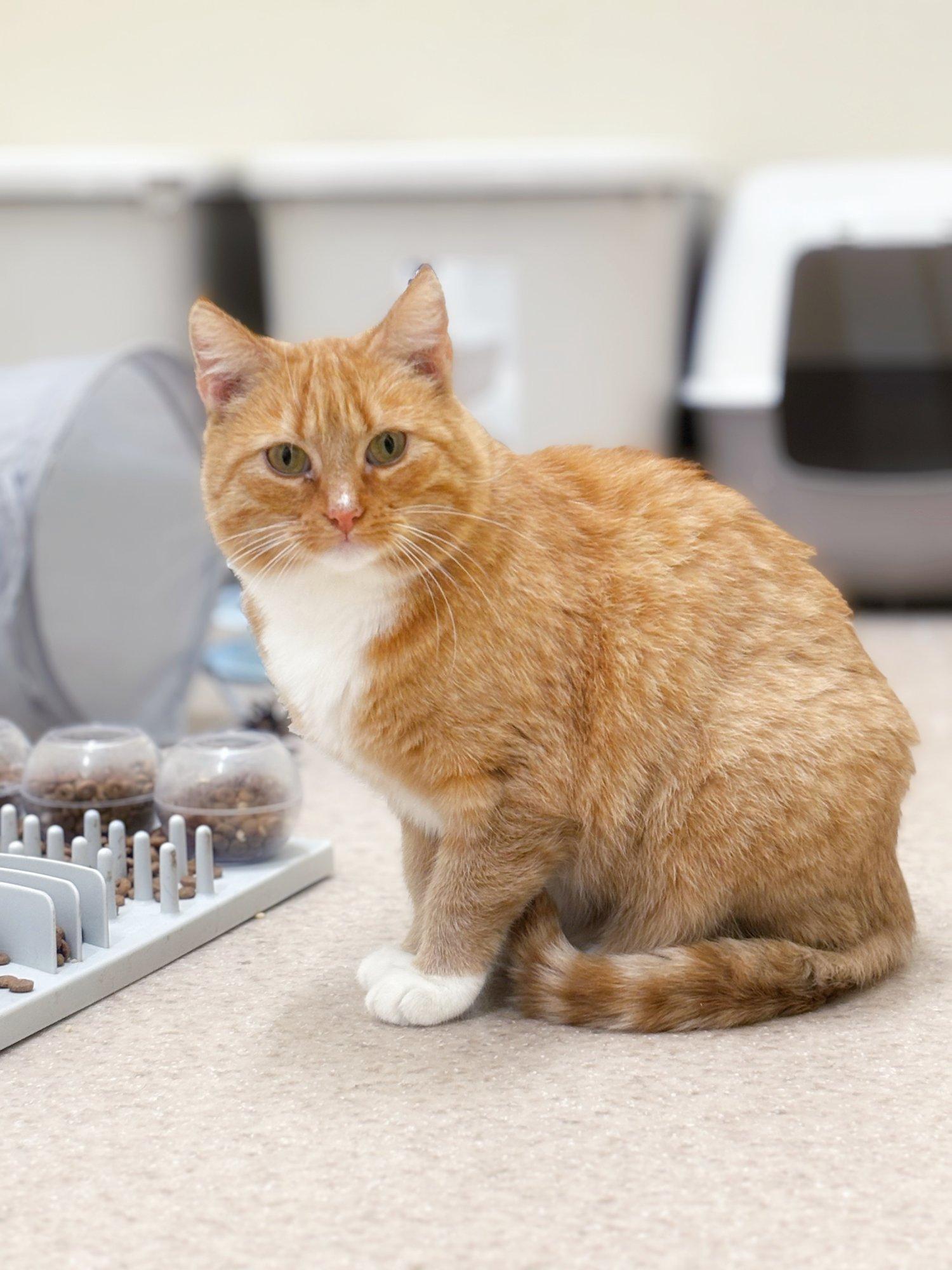 TAHAKS KOJU | Esialgu omaette hoidnud Lily-Marleenist on saanud seltsi otsiv nurrukas