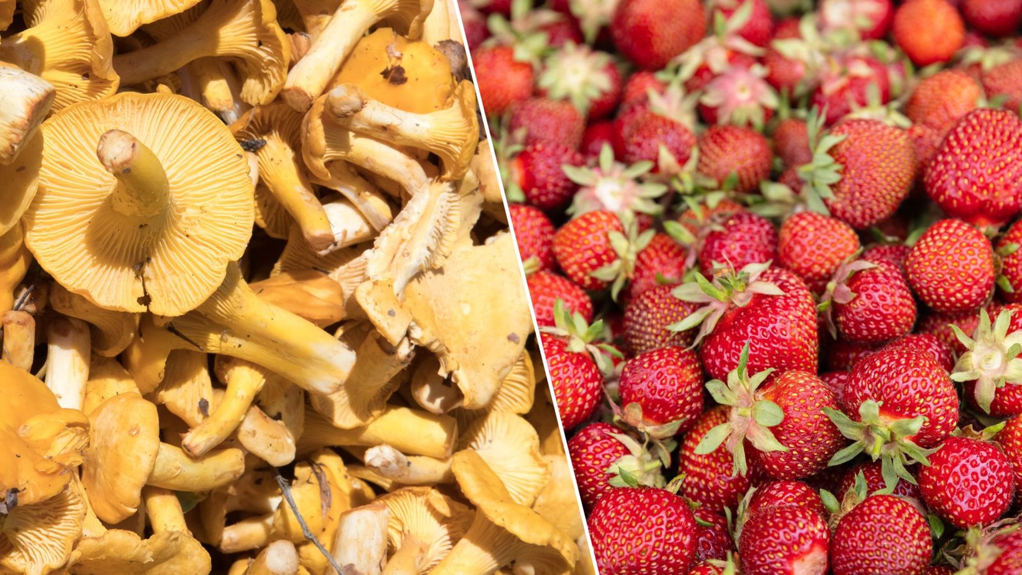 KÜSITLUS | Kas oled juba krõbeda hinnaga värskeid kartuleid, maasikaid ja kukeseeni ostnud?