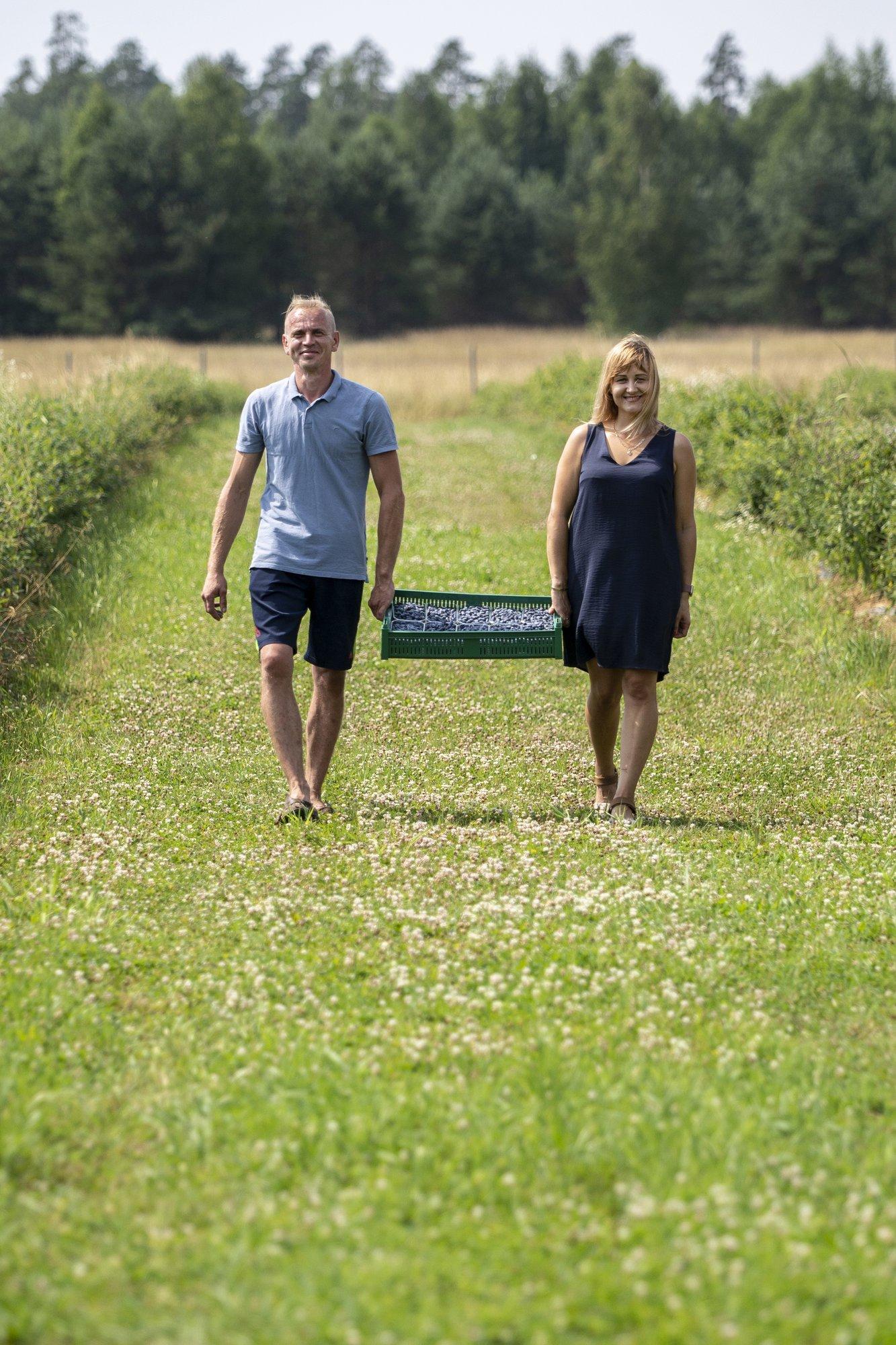 Noor pere kasvatab erilisi marju, mis on küpsed juba enne maasikaid