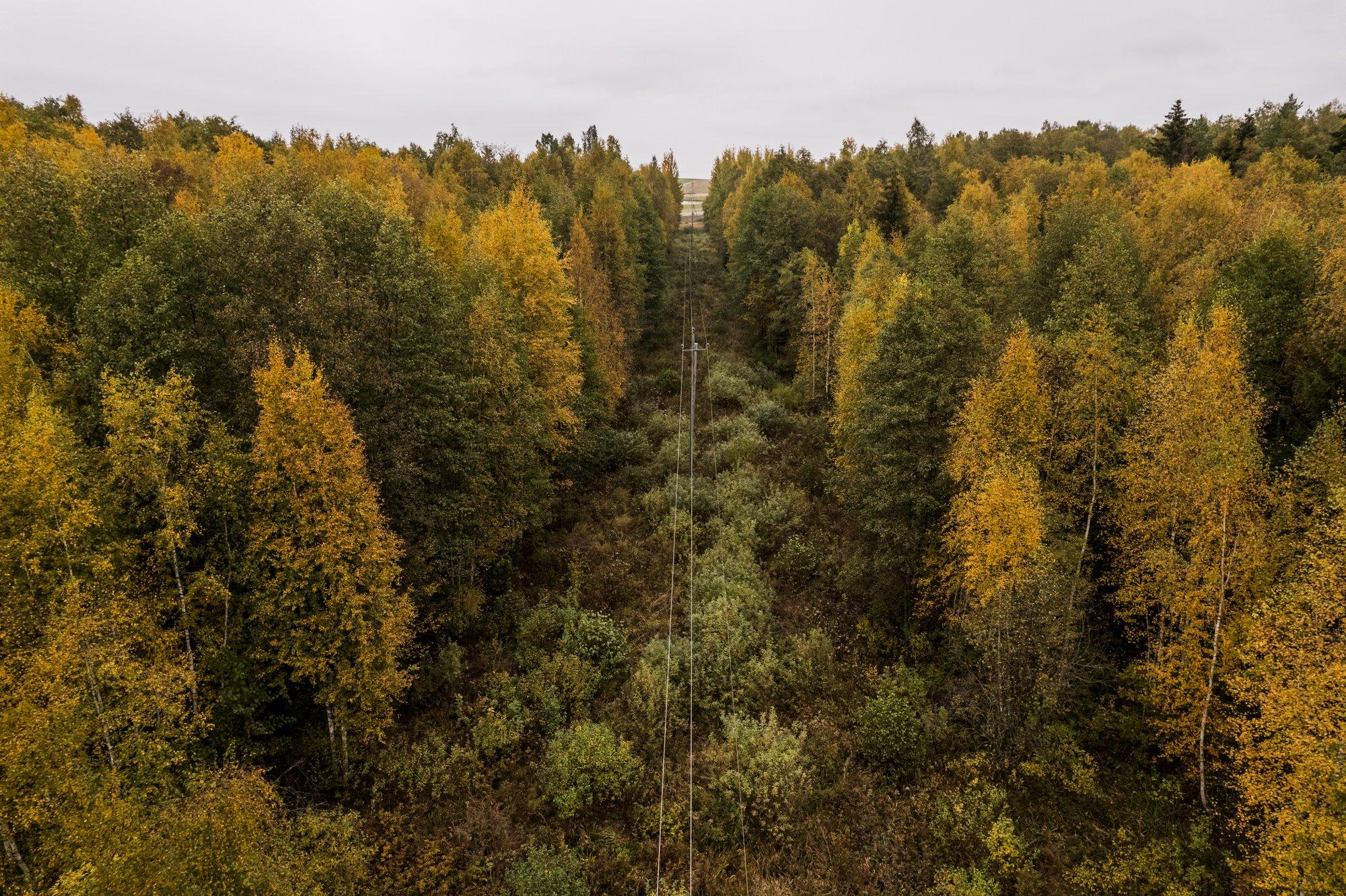 NIMEKIRI | Viis Soome aktsiat, millel analüütikud näevad kõige enam tõusuruumi