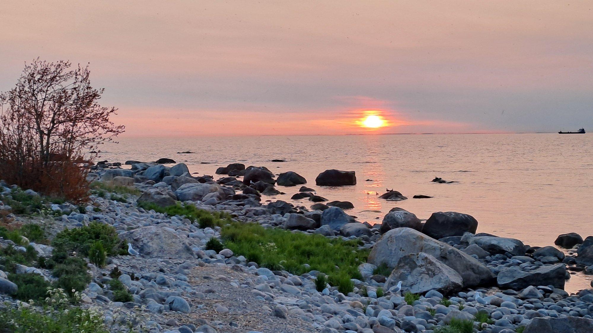 SAAREVAHI PÄEVIK | Need, kes on joonud kohalikku kaevuvett, on siiani elu ja tervise juures