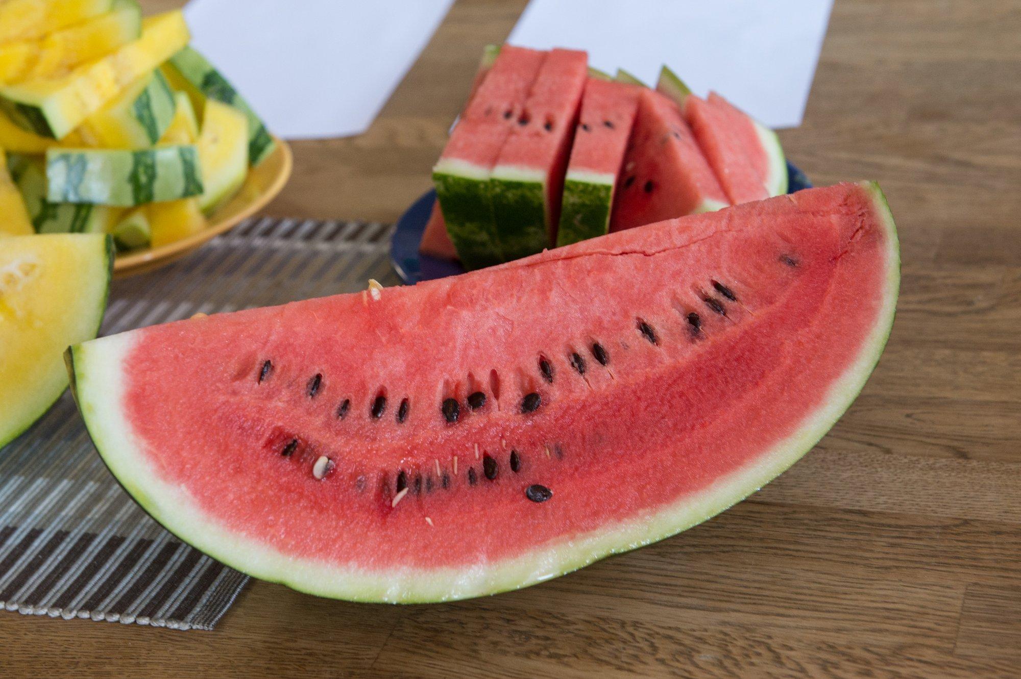 Lihtne moodus paneb Eestiski arbuusid ja melonid mühinal kasvama