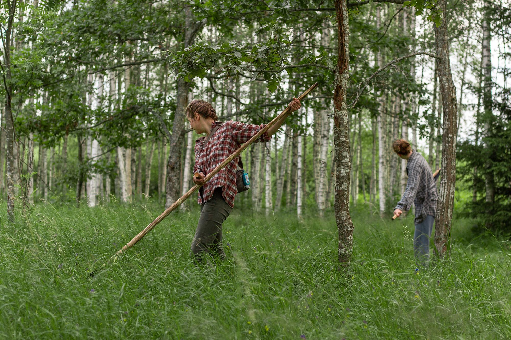 „Naaber ei pahanda kui varahommikul vikatiga vihistad.“ Esivanemate kombel niitmine on endiselt populaarne