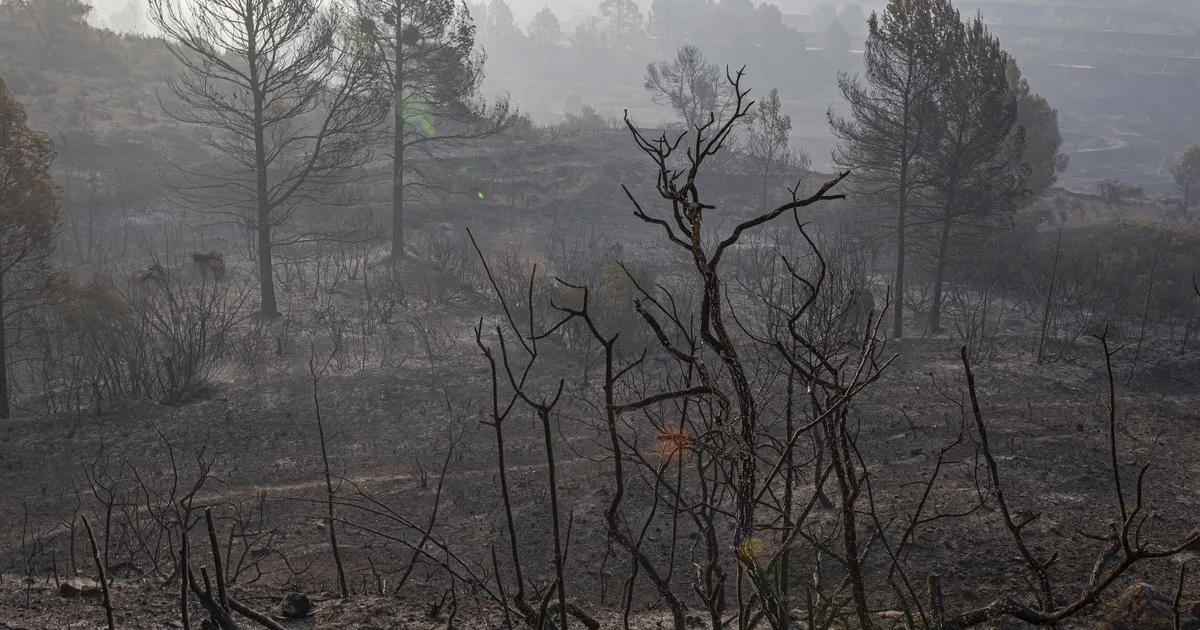 Eesti päästjad lähevad taas Hispaaniale appi