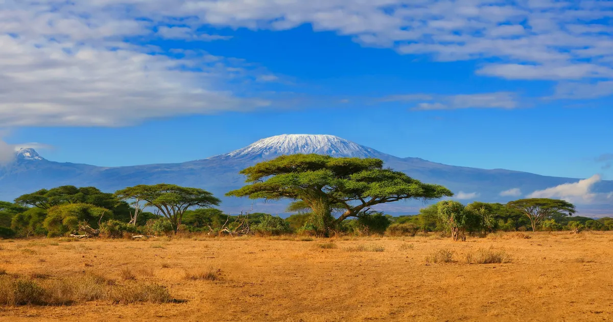 GARRI RAAGMAA ⟩ Aafrika väärib avastamist ja äridega alustamist