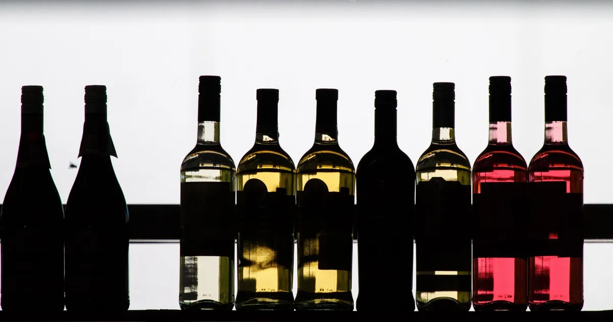 URME PUNTSO ⟩ Ma ei nõustu Tänavsuuga: tean, mida tähendab olla abivajav alkohoolik