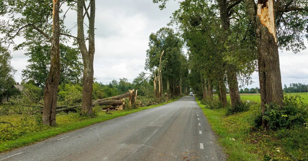 VIDEOD ⟩ «Pole oma elu jooksul sellist tuult näinud!» Lätist saabunud torm räsis Lõuna-Eestit