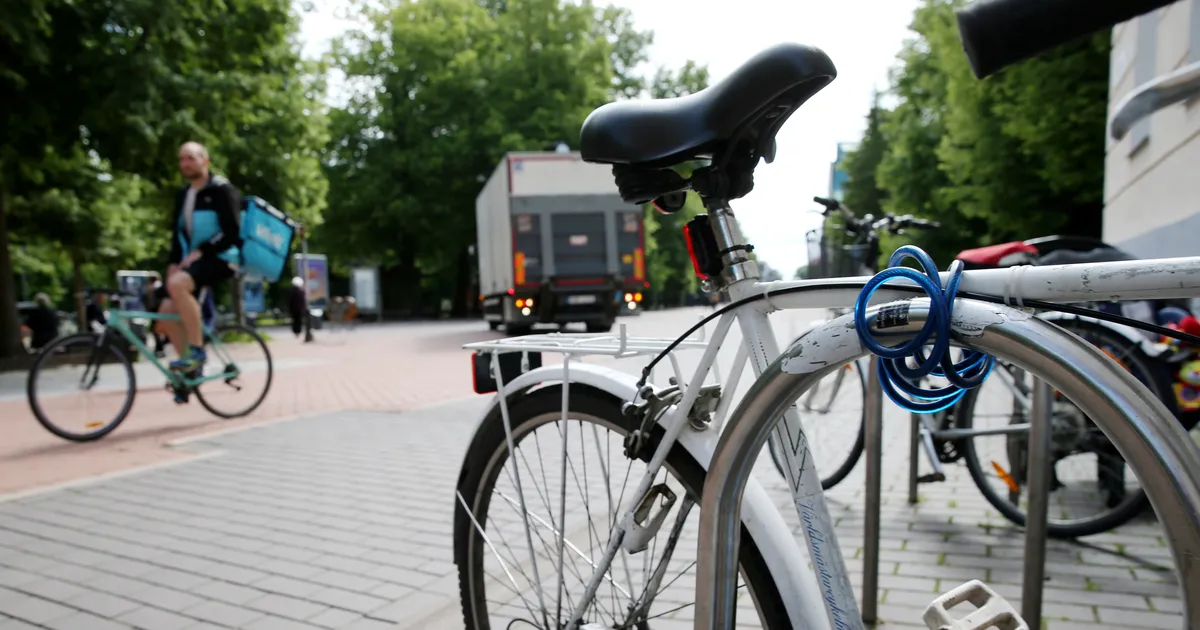 SIMMO SAAR ⟩ Valitseva tobeduse riiklik musternäidis