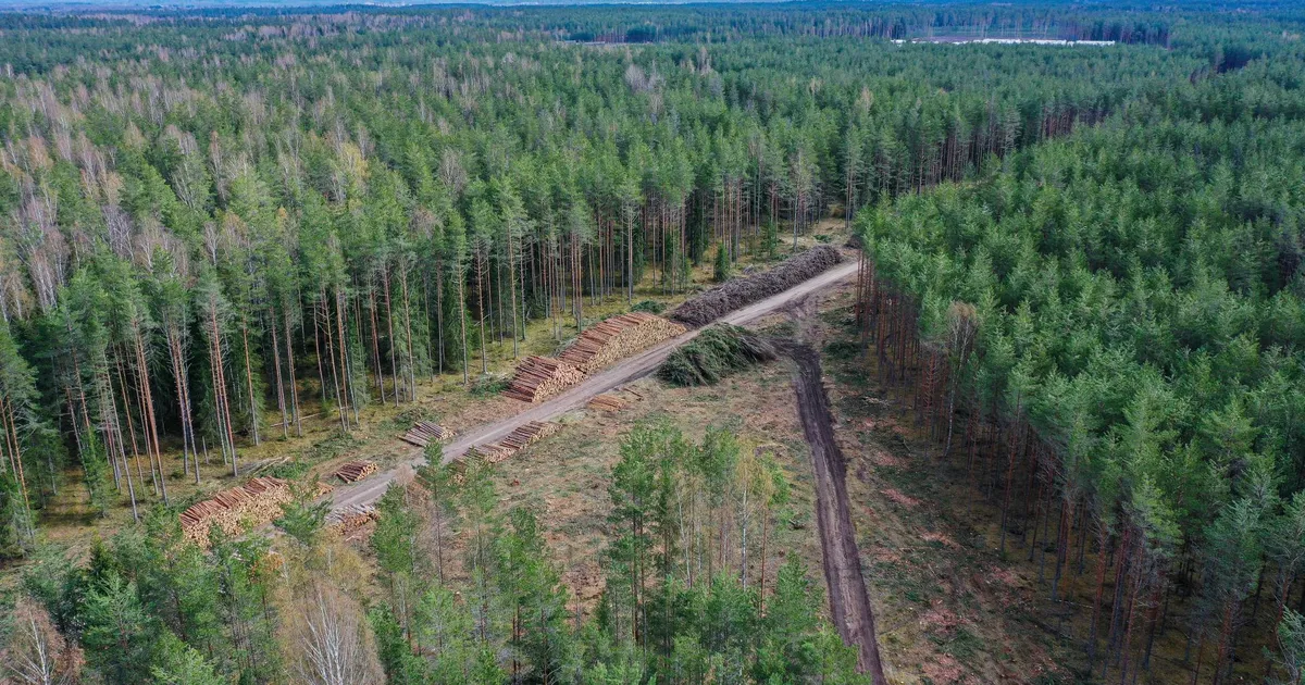 Nursipallu kavandatust kaks korda laiemate teekoridoride raiumine sai kohtus lüüa