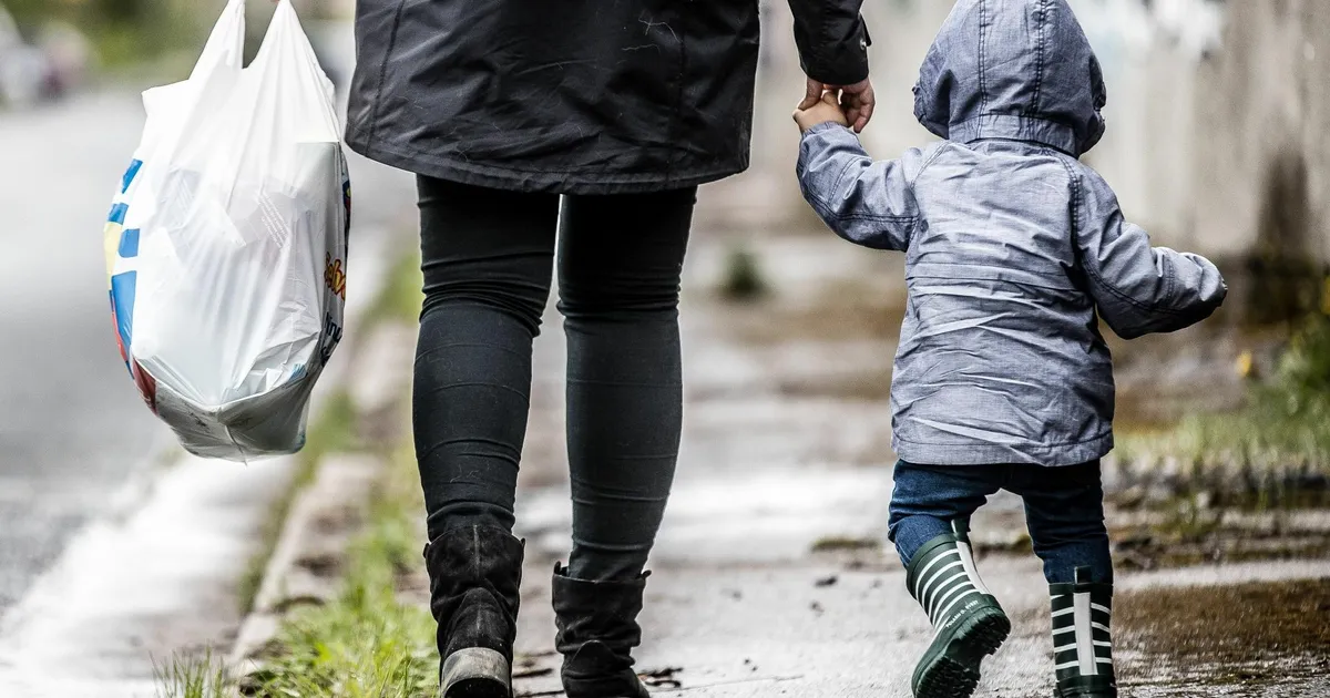 JAANUS NURMOJA ⟩ Perepalga loomine ei olegi tegelikult kallis lõbu