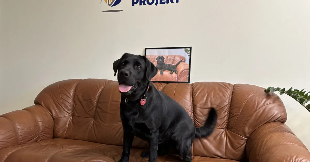 5 PARIMAT ⟩ «Lemmik tööl» fotokonkursi võitjad on selgunud!