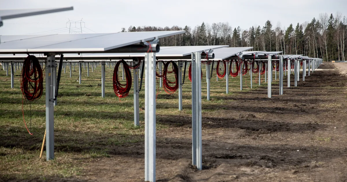 KUKU ⟩ Sunly juht: lubame kohalikule kogukonnale kuni 60 protsenti soodsamat elektrit