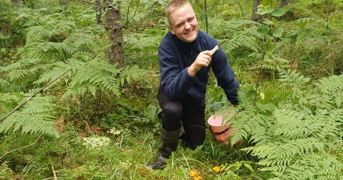 Seenelised vastavad ⟩ Kus ja kui palju on kukeseeni?