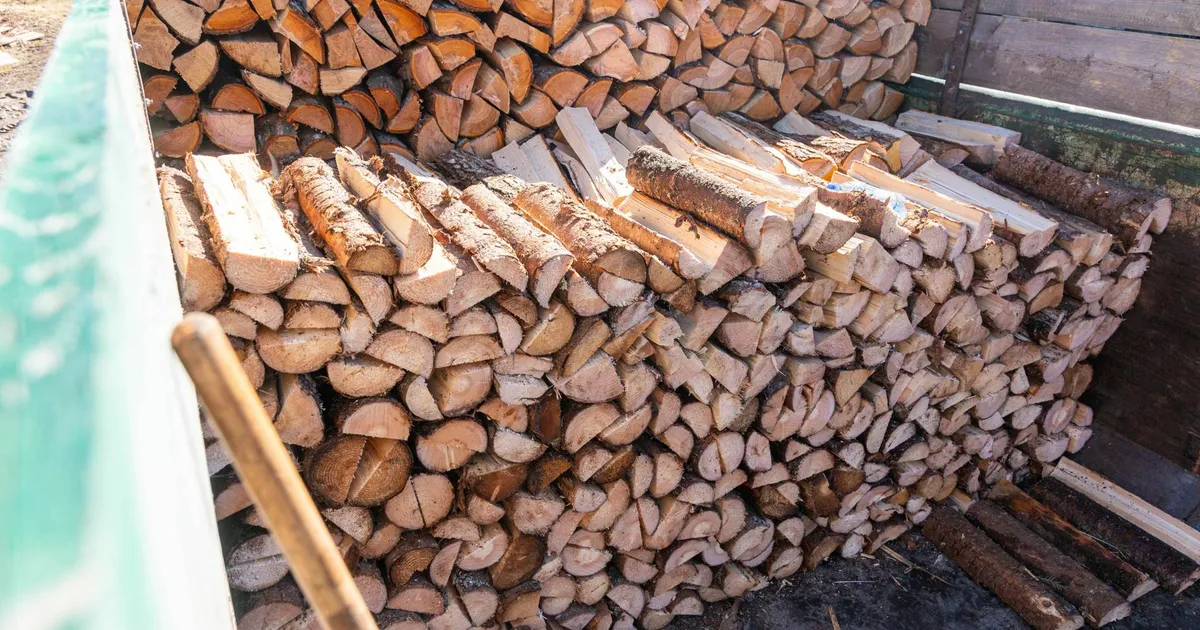 Varaste noosiks langes kraami küttepuudest tolmuimejani