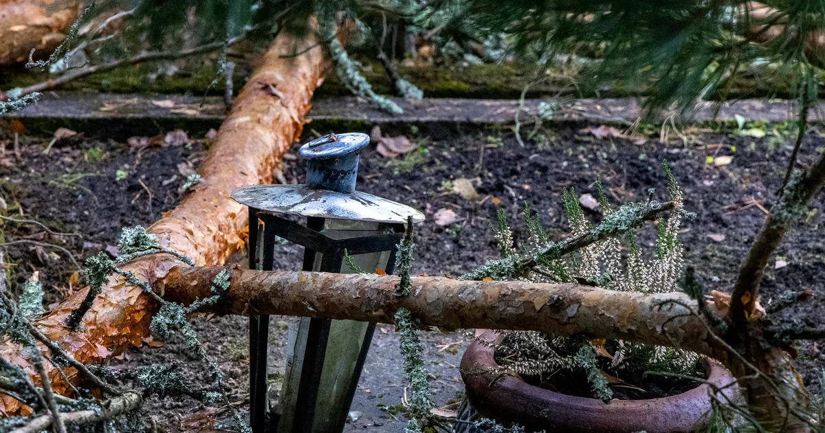 Laulupidu ähvardab torm, Päästeamet jagab soovitusi