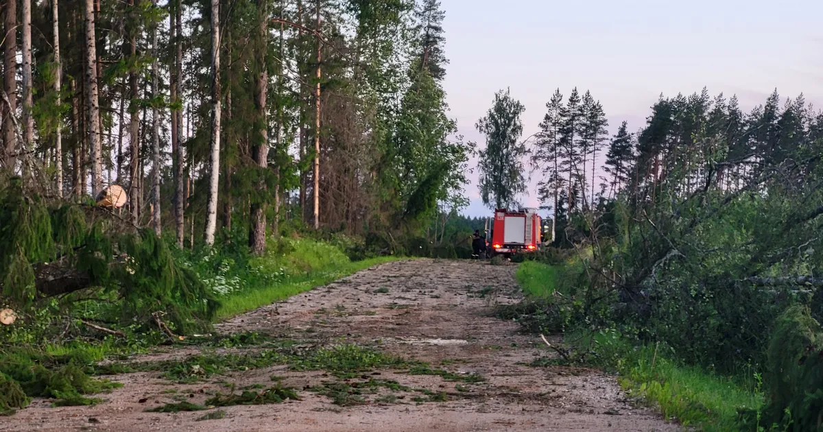 Mõni Harjumaa ja Lääne-Virumaa majapidamine võib elektri tagasi saada alles homme