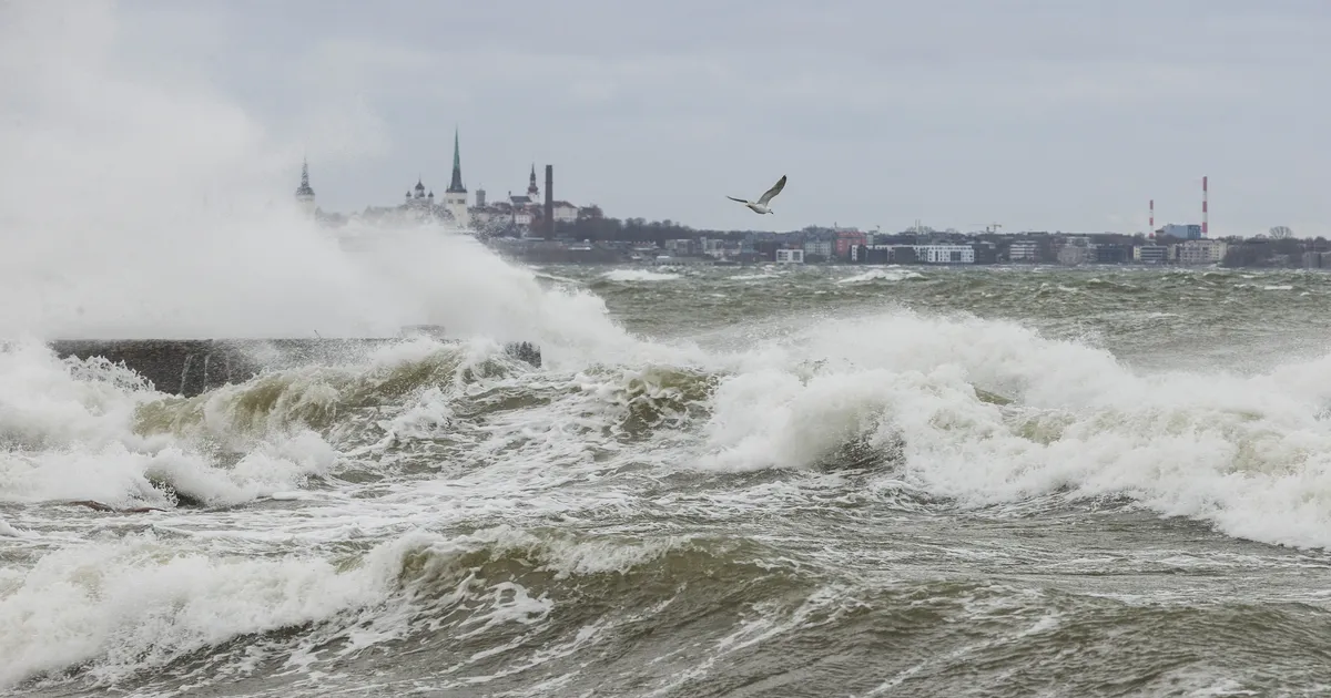 LAINED MÖLLAVAD ⟩ Soome lahes sündis lainekõrguse suvine rekord
