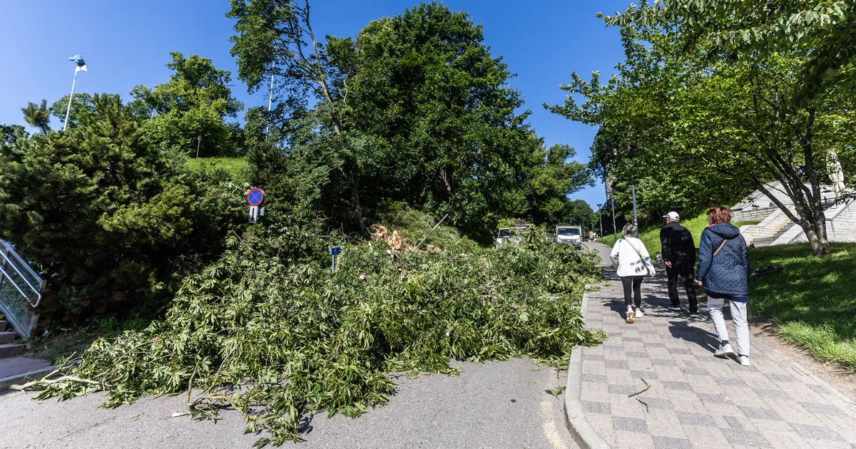 FOTO ⟩ Tallinnas lükkas tormituul liiklusmärgi autole peale