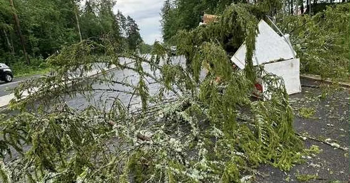 FOTOD ⟩ Pääses napilt surmasuust: kõhutunne päästis maasikamüüja enne tormi