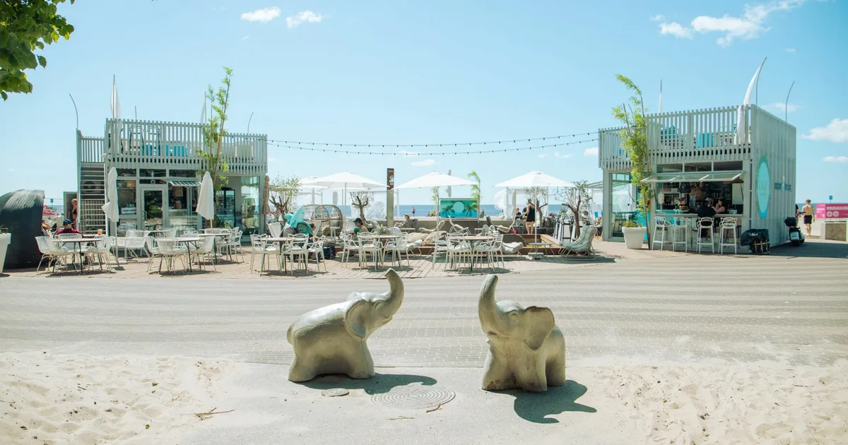 Kuhu sööma minna? ⟩ Pärnu rannakohvikute suur ülevaade: atmosfäär, toidud, hinnad