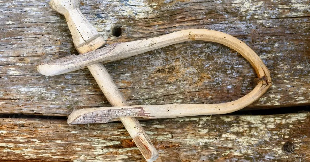 Hiinast leiti 360 tuhande aasta vanused tööriistad – need on muide puust